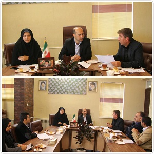 کار گروه اقتصادی